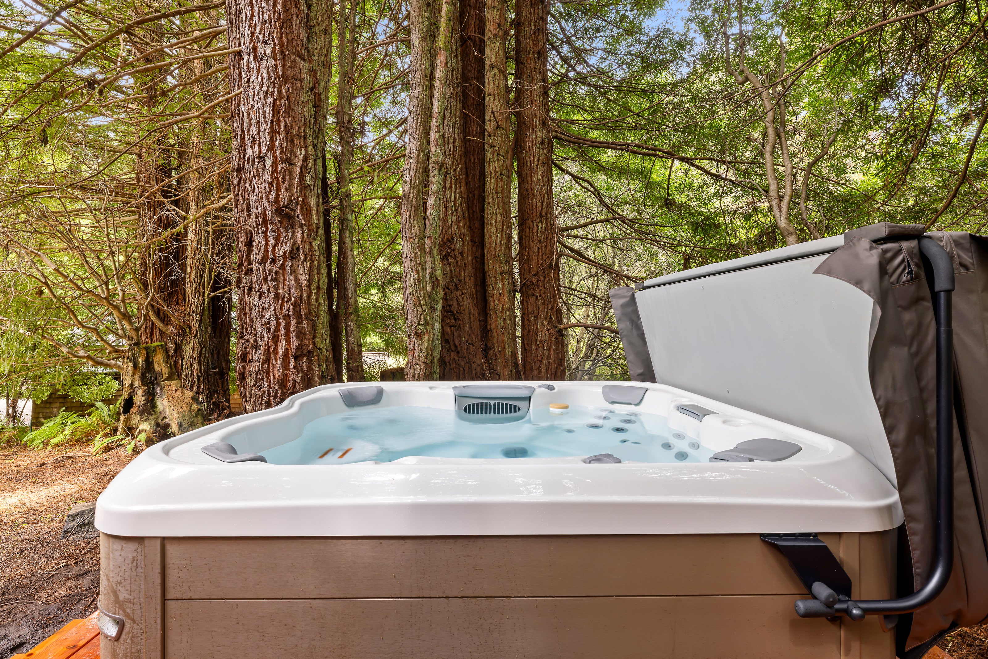 Sea Ranch hot tub among the redwoods