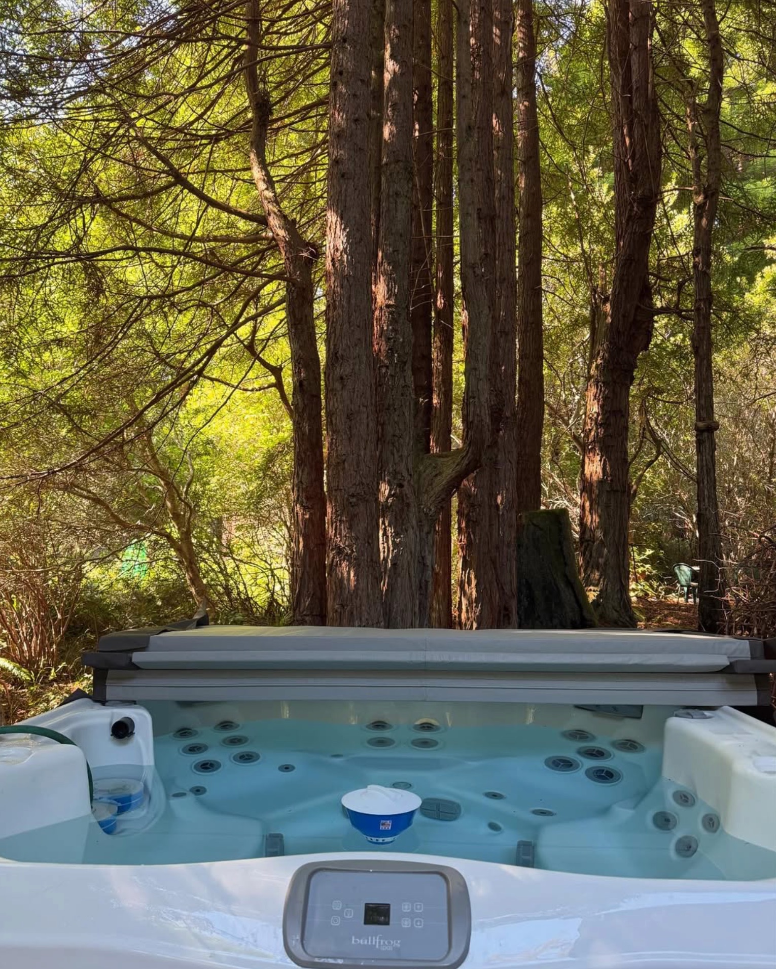 Sea Ranch outdoor hot tub surrounded by towering redwood trees